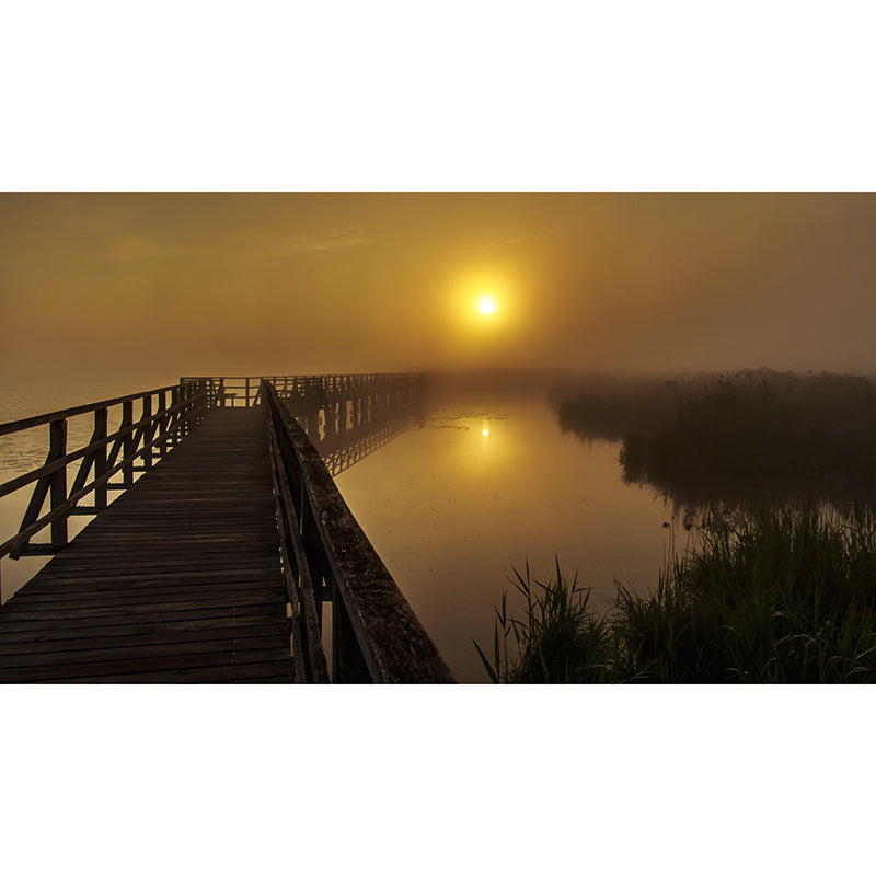 Wooden Bridge Photography Mildew Resistant Wallpaper Sleeping Room Wall Mural