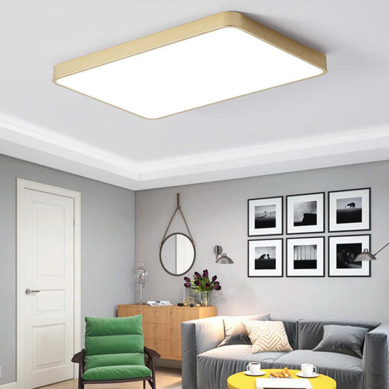 Minimalist LED Flush Mount Ceiling Light Golden Geometry Ceiling Lamp with Acrylic Shade