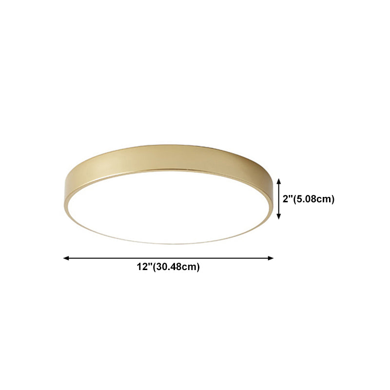 Minimalist LED Flush Mount Ceiling Light Golden Geometry Ceiling Lamp with Acrylic Shade