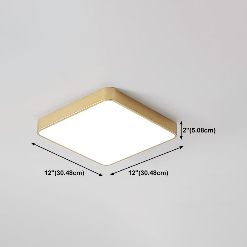 Minimalist LED Flush Mount Ceiling Light Golden Geometry Ceiling Lamp with Acrylic Shade