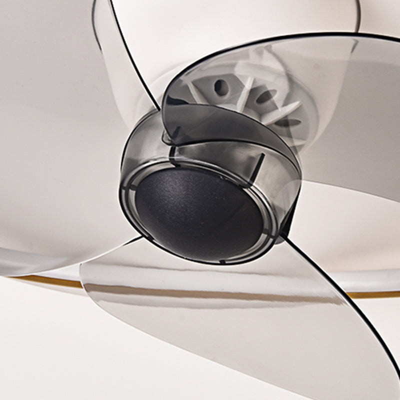 Metal Geometric Ceiling Fan Lights Modern Style 2 Lights LED Flush Light