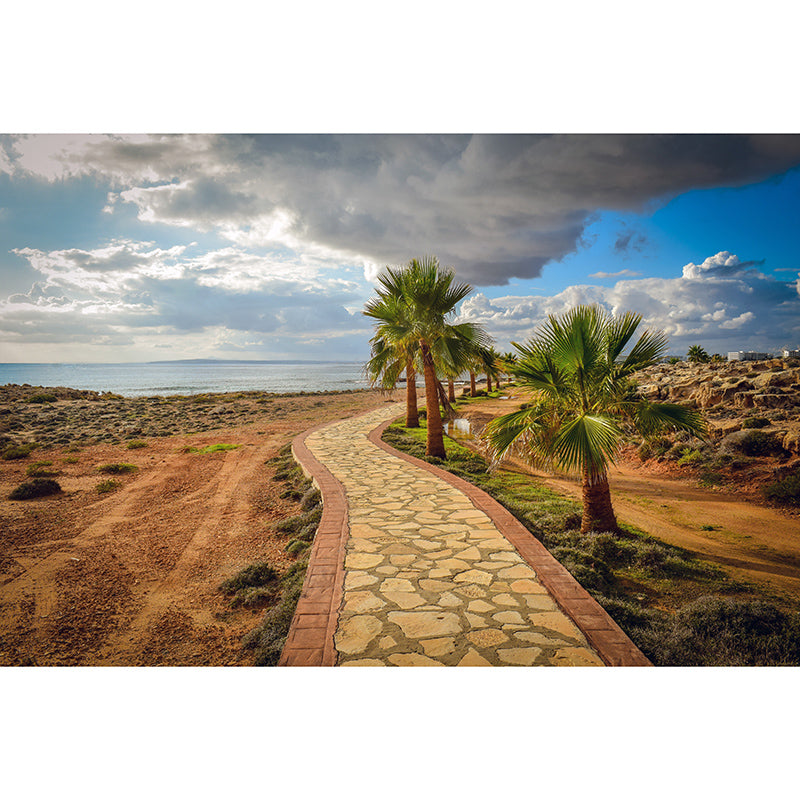 Environmental Photography Mural Wallpaper Outdoor Path Indoor Wall Mural