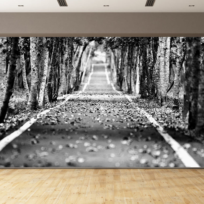 Photography Stain Resistant Wallpaper Outdoor Path Living Room Wall Mural