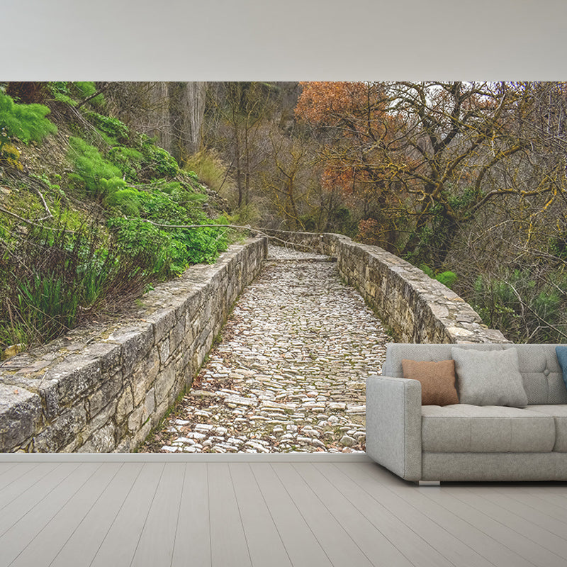 Photography Stain Resistant Wallpaper Outdoor Path Living Room Wall Mural