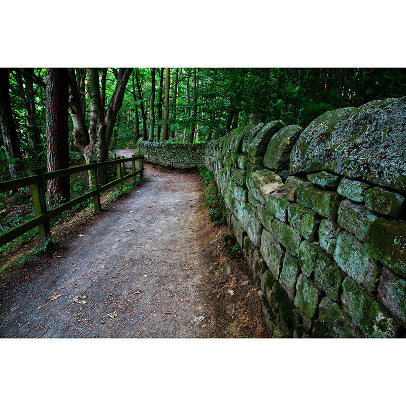 Outdoor Path Environmental Wall Mural Wallpaper Sitting Room Wall Mural