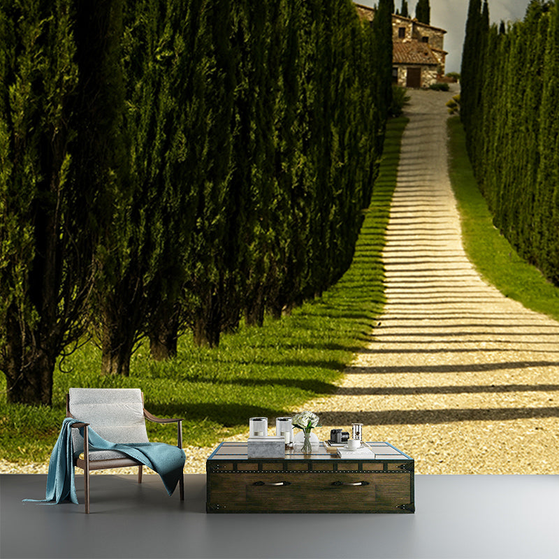 Modern Style Wall Mural Wallpaper Outdoor Path Bedroom Wall Mural