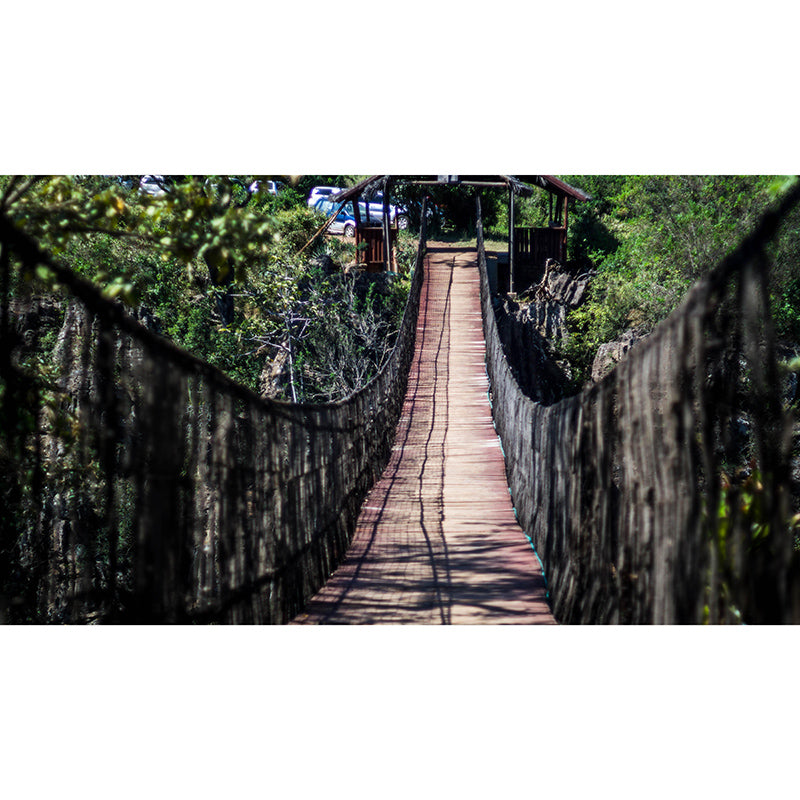 Environment Friendly Mural Wallpaper Wooden Bridge Photography Bedroom Wall Mural