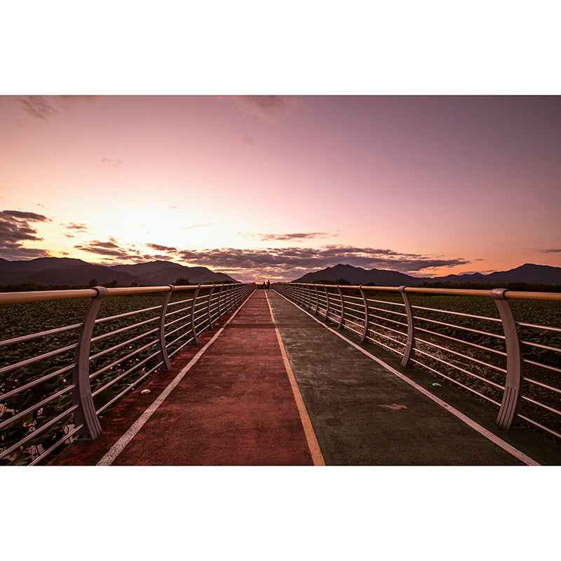 Wooden Bridge Washable Stain Resistant Wall Mural Wallpaper Sitting Room Wall Mural