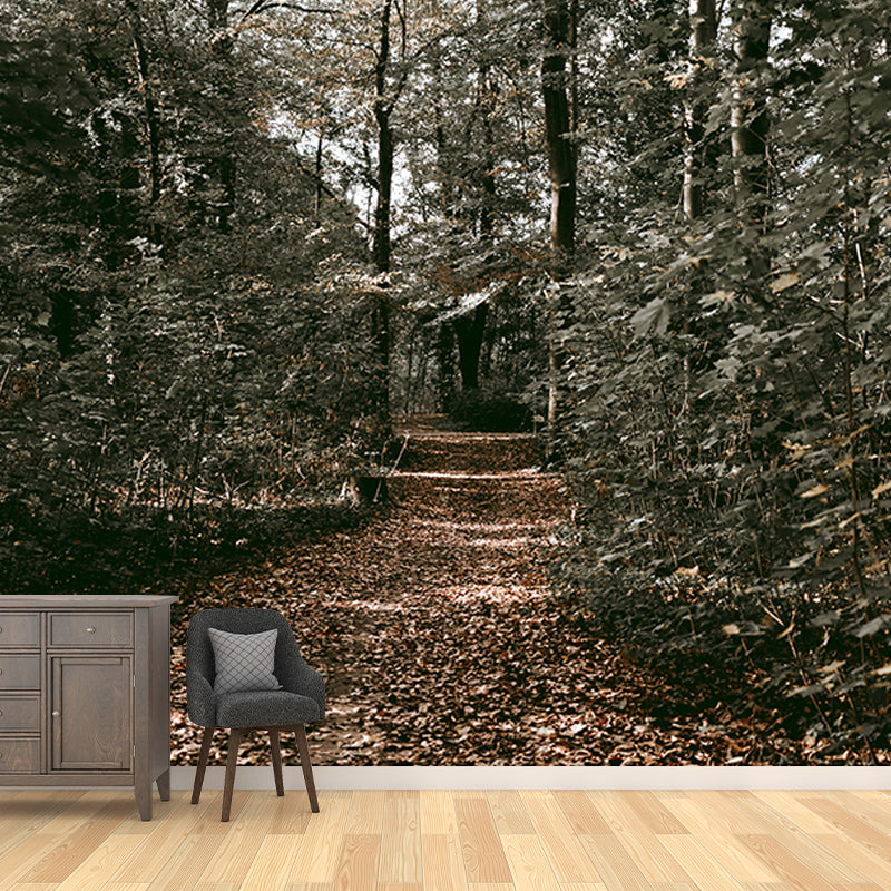 Forest Path Mildew Resistant Mural Wallpaper Sleeping Room Wall Mural