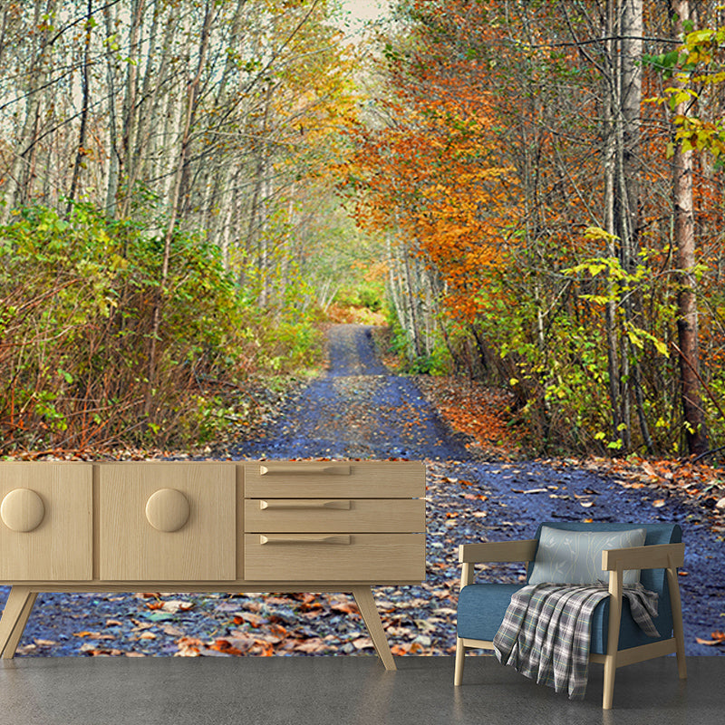 Forest Path Mildew Resistant Mural Wallpaper Sleeping Room Wall Mural