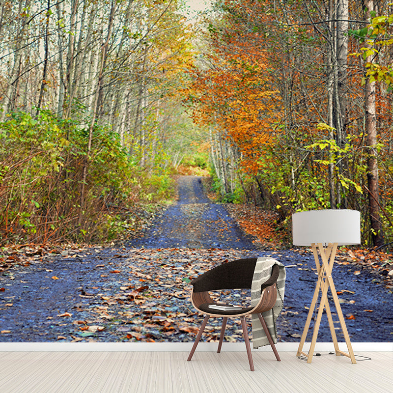 Forest Path Mildew Resistant Mural Wallpaper Sleeping Room Wall Mural