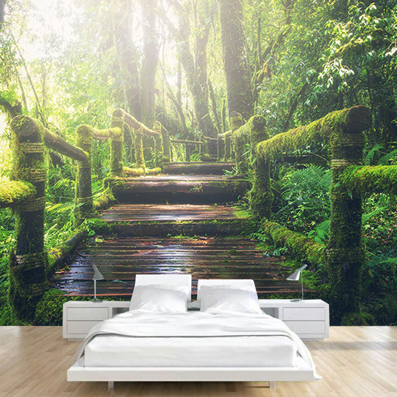 Beautiful Photography Mural Wallpaper Forest Path Indoor Wall Mural
