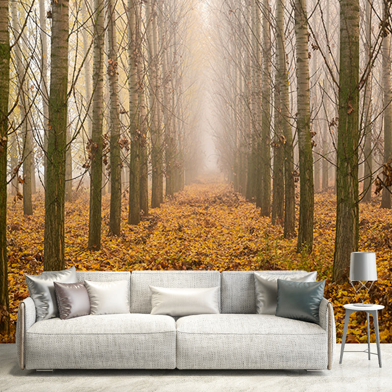 Beautiful Photography Mural Wallpaper Forest Path Indoor Wall Mural