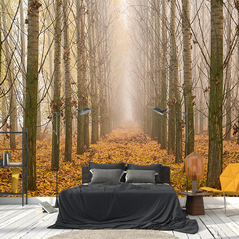 Beautiful Photography Mural Wallpaper Forest Path Indoor Wall Mural