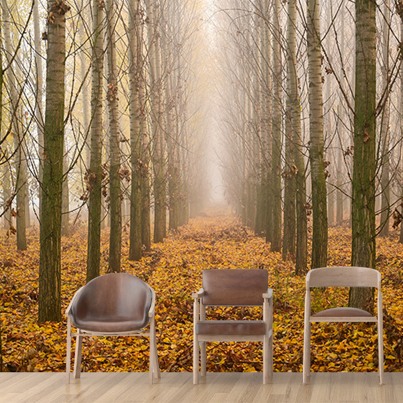 Beautiful Photography Mural Wallpaper Forest Path Indoor Wall Mural