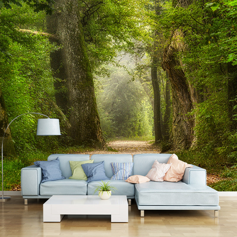Photography Stain Resistant Mural Wallpaper Forest Path Living Room Wall Mural