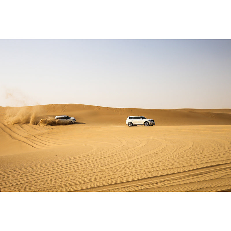 Desert Modern Photography Mural Wallpaper Living Room Wall Mural