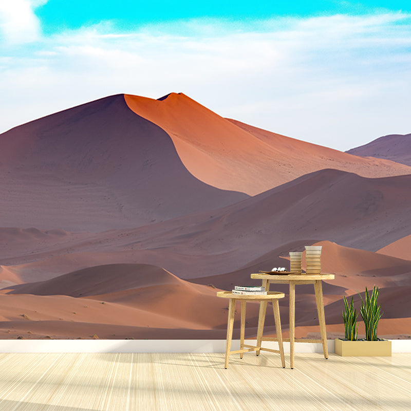 Decorative Photography Mural Wallpaper Desert Indoor Wall Mural