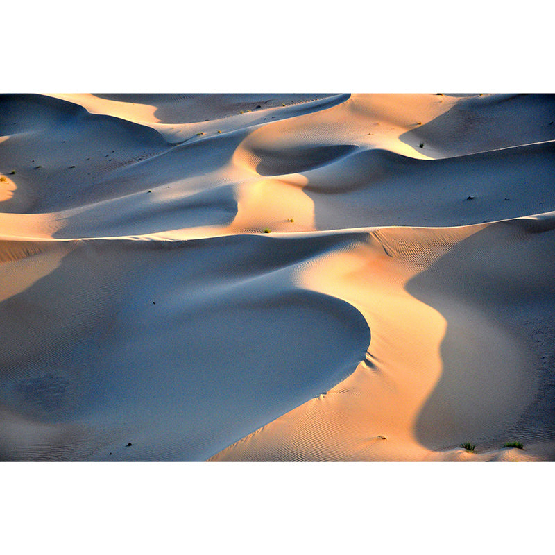 Decorative Photography Mural Wallpaper Desert Indoor Wall Mural