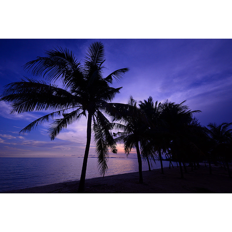 Eco-friendly Wall Mural Wallpaper Tropical Scenery Photography Sitting Room Wall Mural