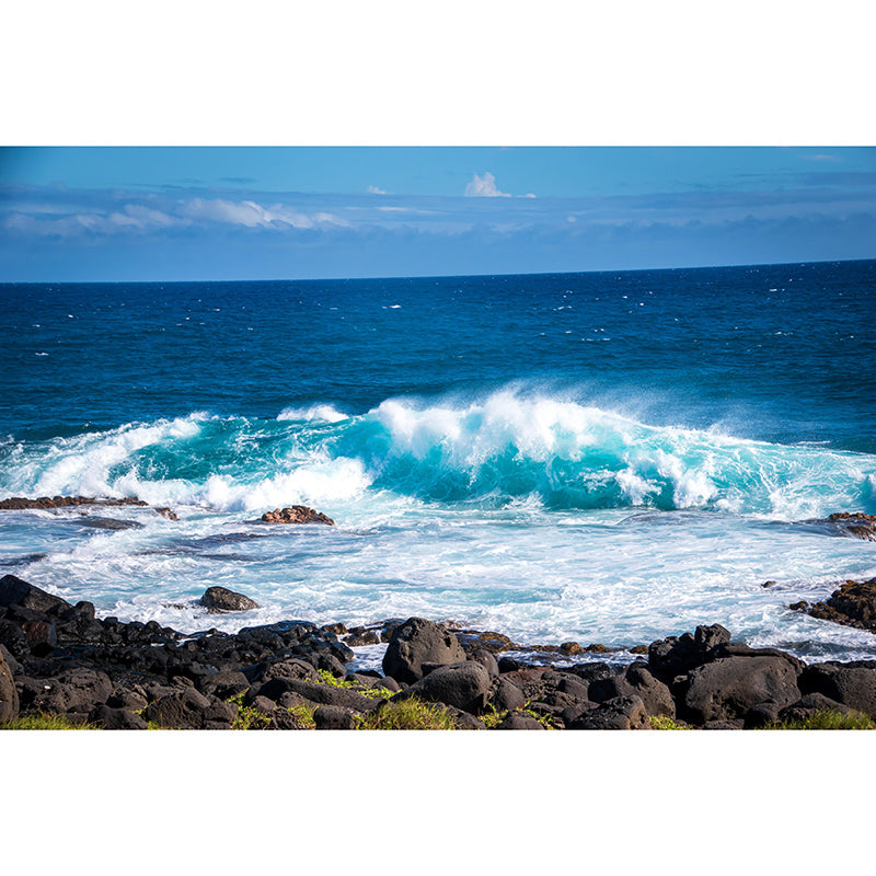 Beautiful Photography Mural Wallpaper Tropical Scenery Indoor Wall Mural