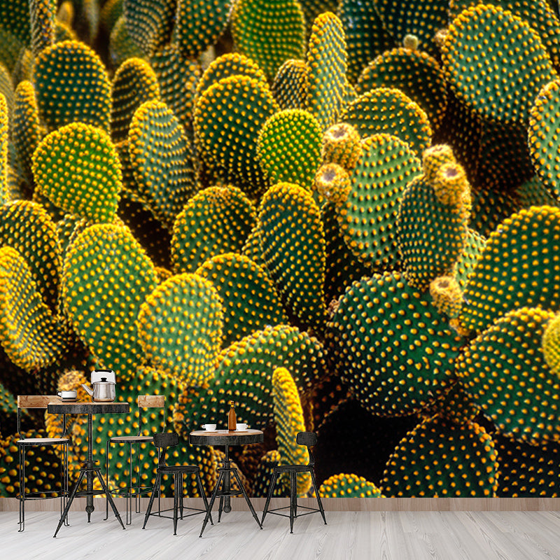 Decorative Wall Mural Wallpaper Tropical Scenery Photography Sitting Room Wall Mural