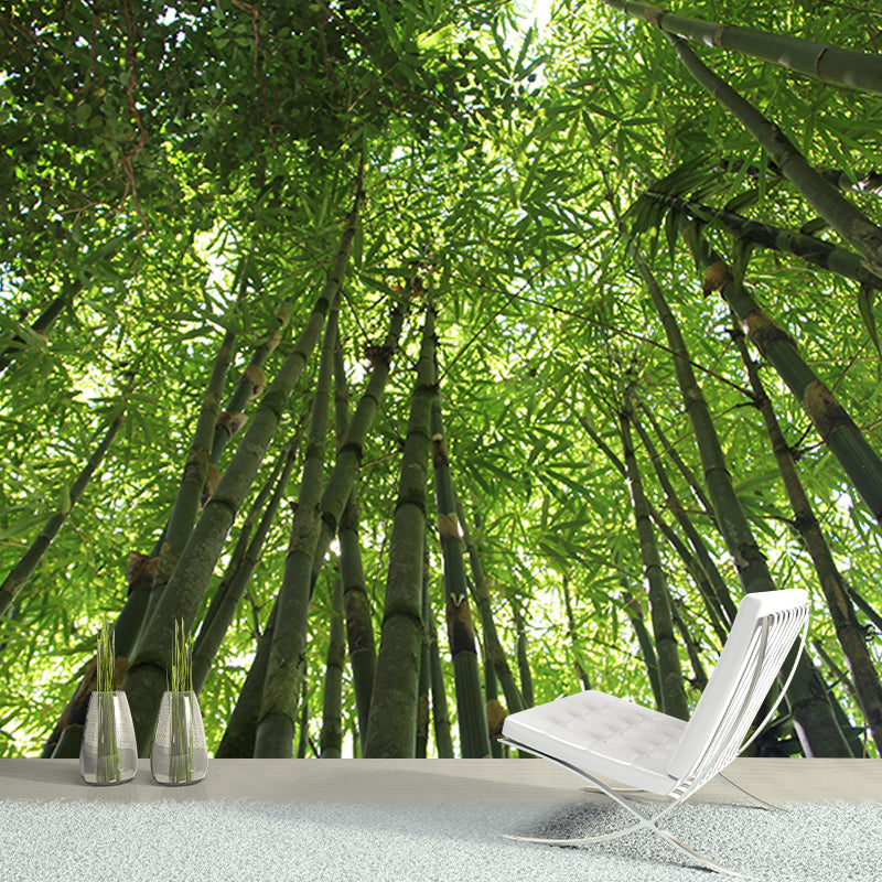 Forest Photography Mildew Resistant Wallpaper Environmental Sleeping Room Wall Mural