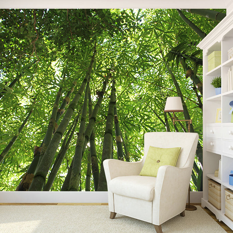 Forest Photography Mildew Resistant Wallpaper Environmental Sleeping Room Wall Mural