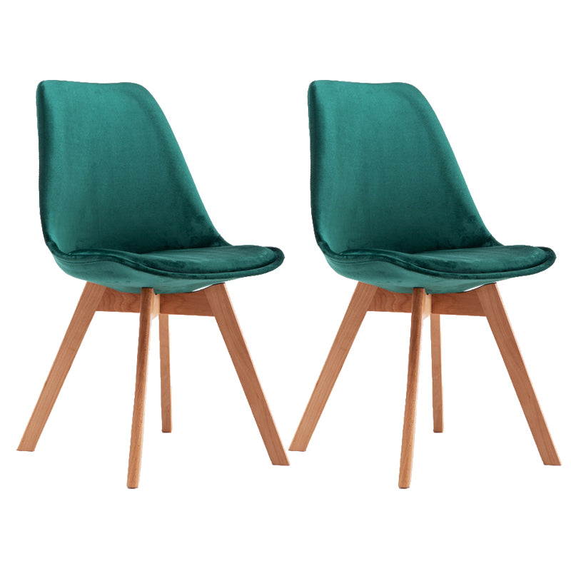Sedia da pranzo in plastica moderna di faggio solido faggio, sedia da pranzo in plastica
