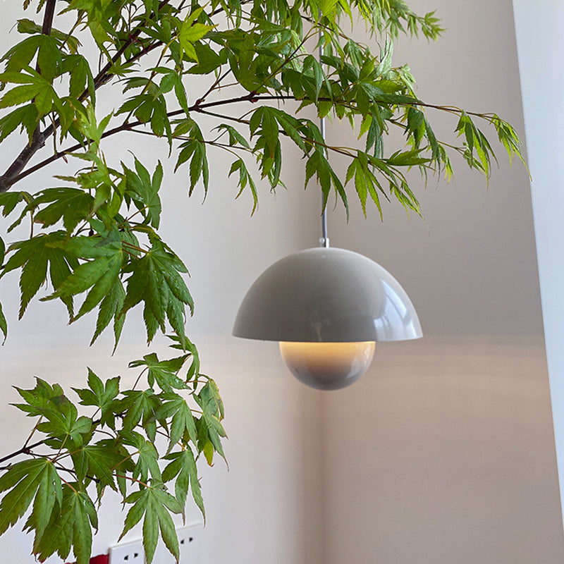 Style moderne suspension du dôme léger du dôme pour le salon