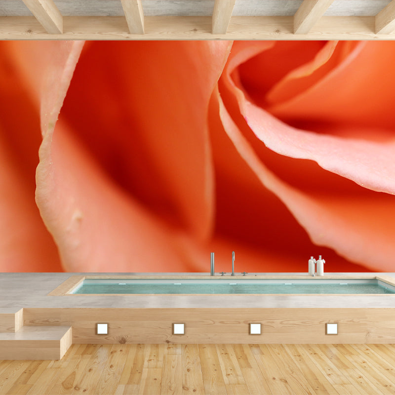 Wall Mural Photography Wallpaper Roses Sitting Room Wall Mural