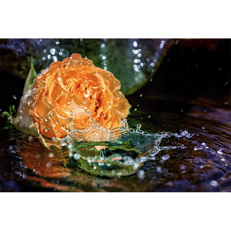 Modern Style Wall Mural Wallpaper Roses Sitting Room Wall Mural