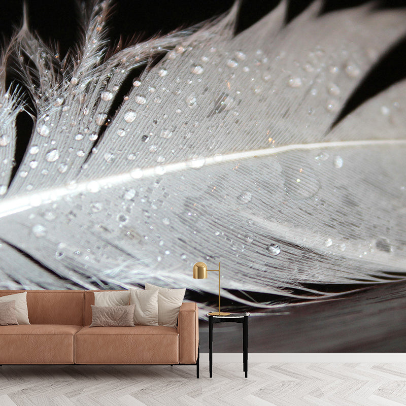 Photography Mural Wallpaper Environment Friendly Feather Indoor Wall Mural