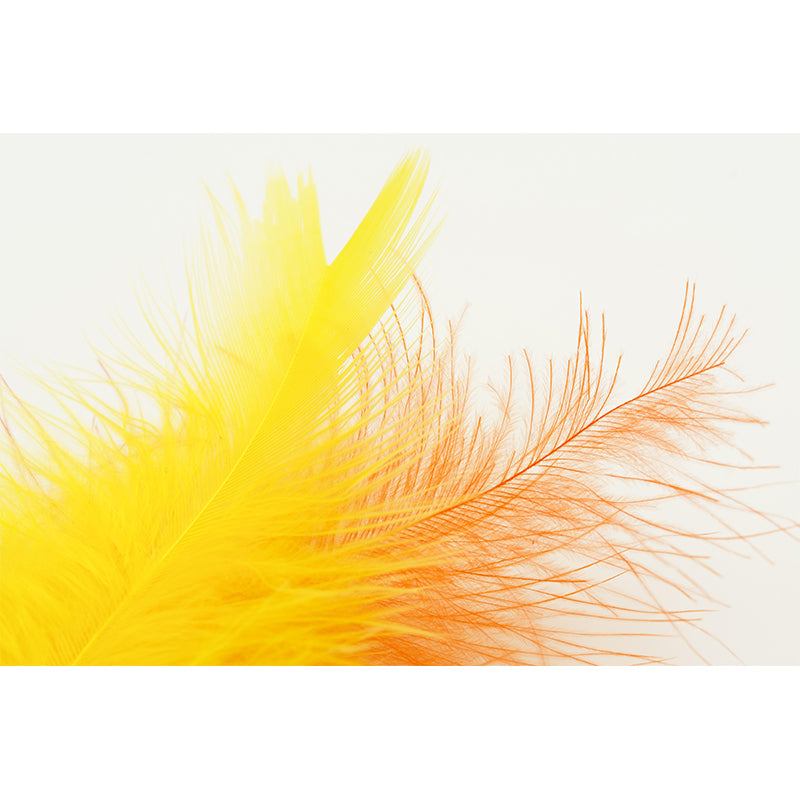 Photography Stain Resistant Mural Wallpaper Feather Sleeping Room Wall Mural