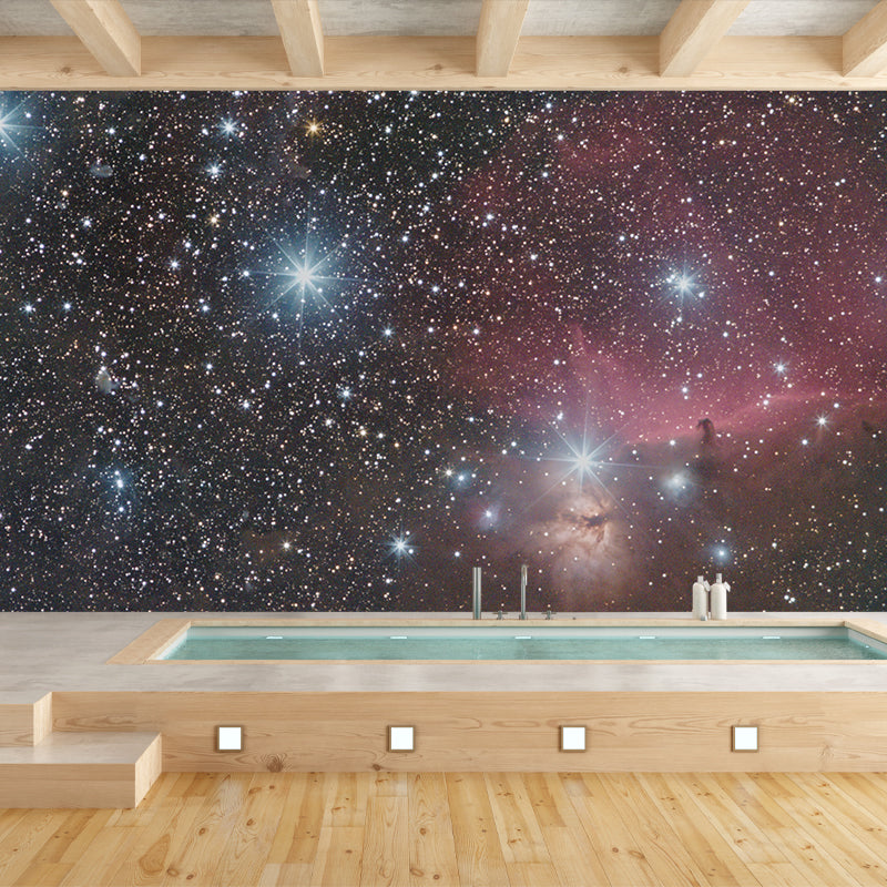 Starry Sky Modern Photography Mural Wallpaper Indoor Wall Mural