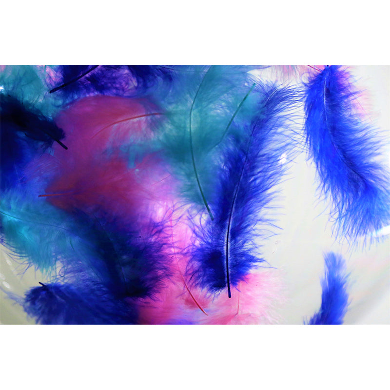 Eco-friendly Wall Mural Wallpaper Feather Photography Sitting Room Wall Mural