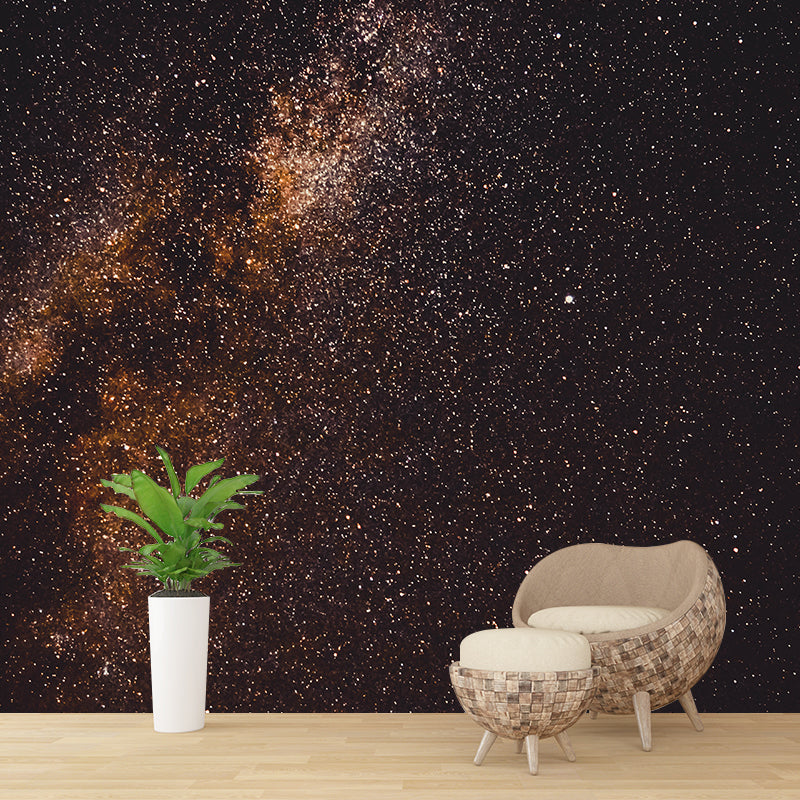 Environmental Photography Mural Wallpaper Starry Sky Indoor Wall Mural