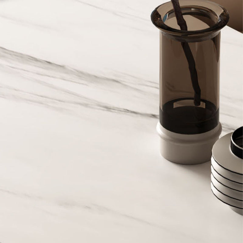 Luxury 1/4/5/7 Pieces Rectangle Dining Set Sintered Stone Dining Table with Leather Chairs