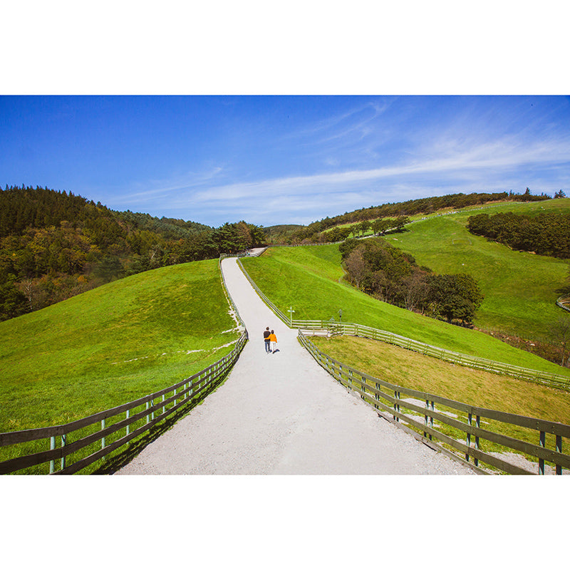 Eco-friendly Wall Mural Wallpaper Highway Photography Sitting Room Wall Mural