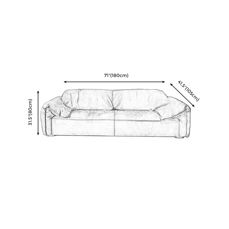 Modern Pillow Top Arm Standard Sofa Impermeable Sofa for Living Room, Apartment