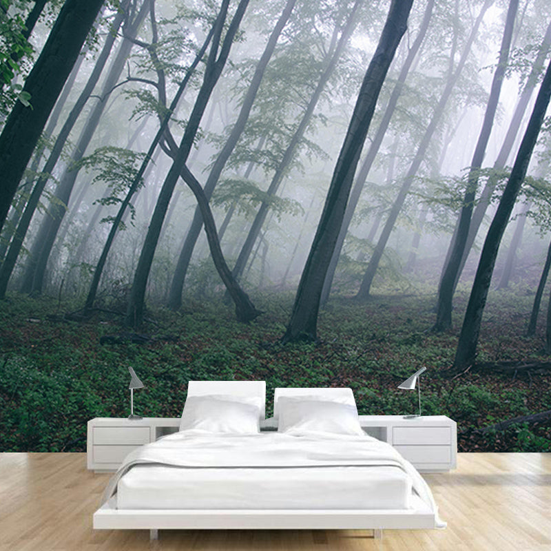 Decorative Wall Mural Wallpaper Forest Photography Sitting Room Wall Mural