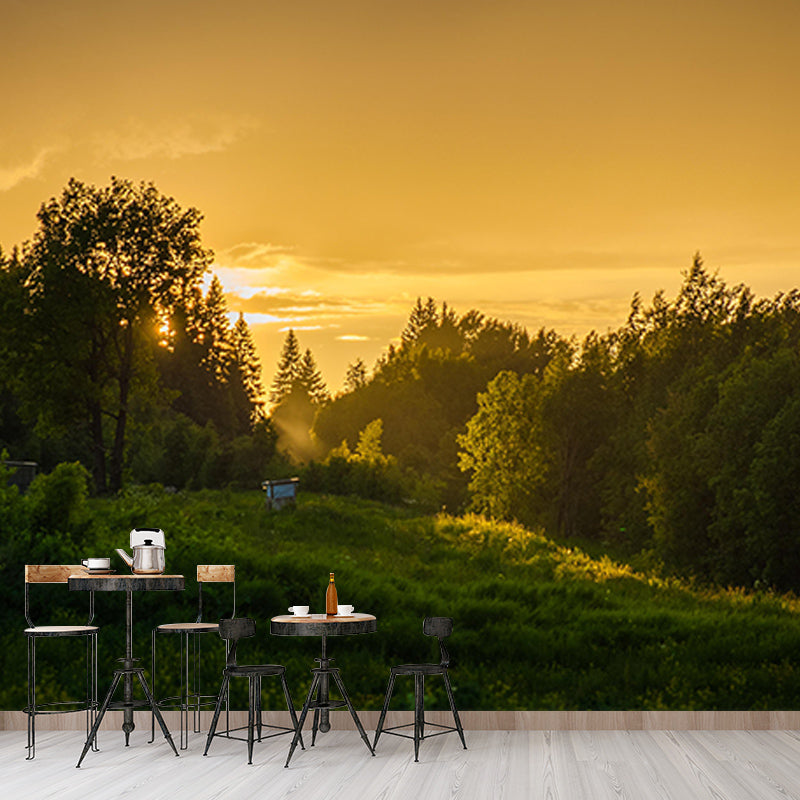 Photography Wall Mural Wallpaper Forest Scenery Sitting Room Wall Mural