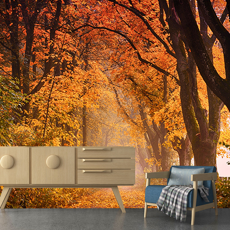Photography Wall Mural Wallpaper Forest Scenery Sitting Room Wall Mural