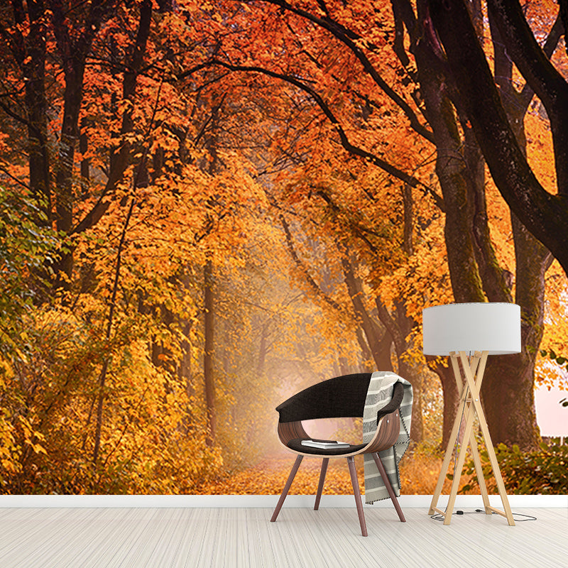 Photography Wall Mural Wallpaper Forest Scenery Sitting Room Wall Mural
