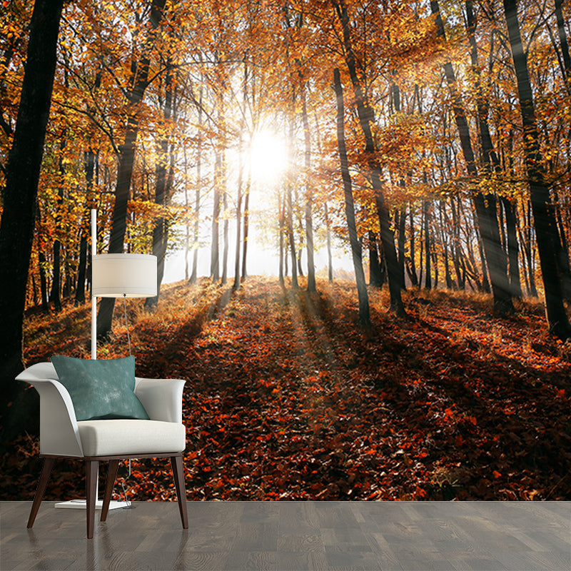 Forest Scenery Mildew Resistant Wallpaper Environmental Sleeping Room Wall Mural