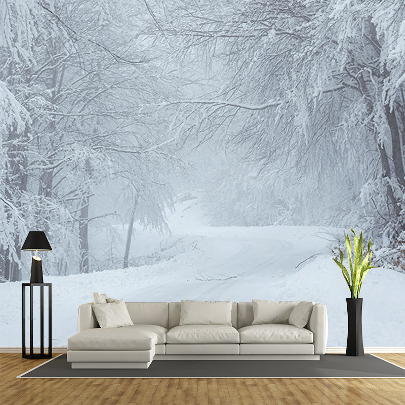 Forest Environmental Photography Mural Wallpaper Indoor Wall Mural