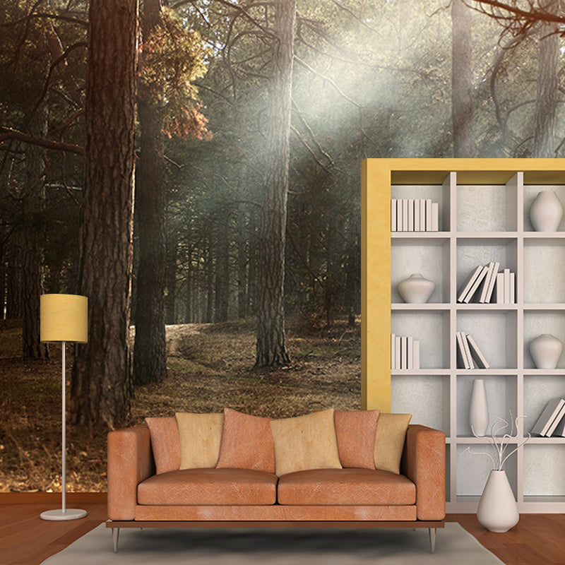 Forest Environmental Photography Mural Wallpaper Indoor Wall Mural