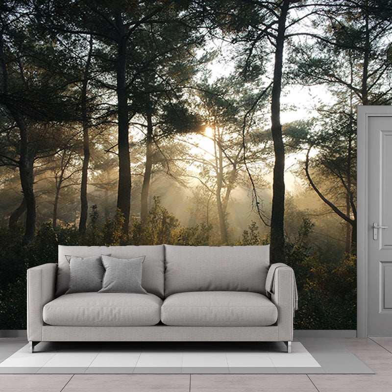 Forest Environmental Photography Mural Wallpaper Indoor Wall Mural