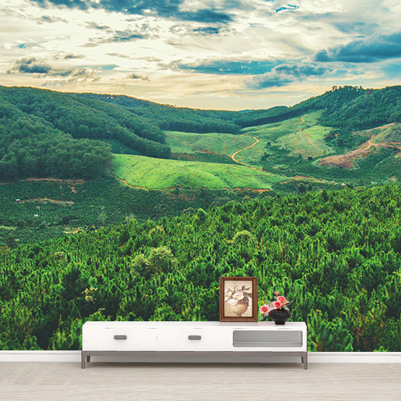 Photography Environment Friendly Mural Wallpaper Forest Bedroom Wall Mural