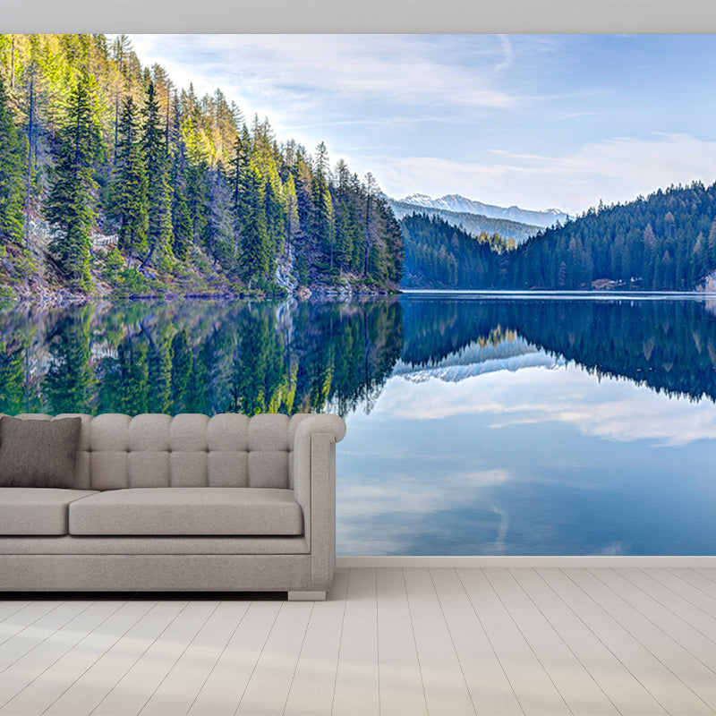 Forest Washable Photography Mural Wallpaper Indoor Wall Mural